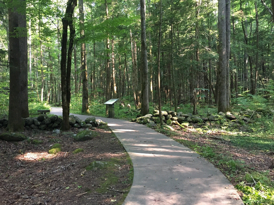 Sugarlands Valley Nature Trail-大雾山国家公园必去景点