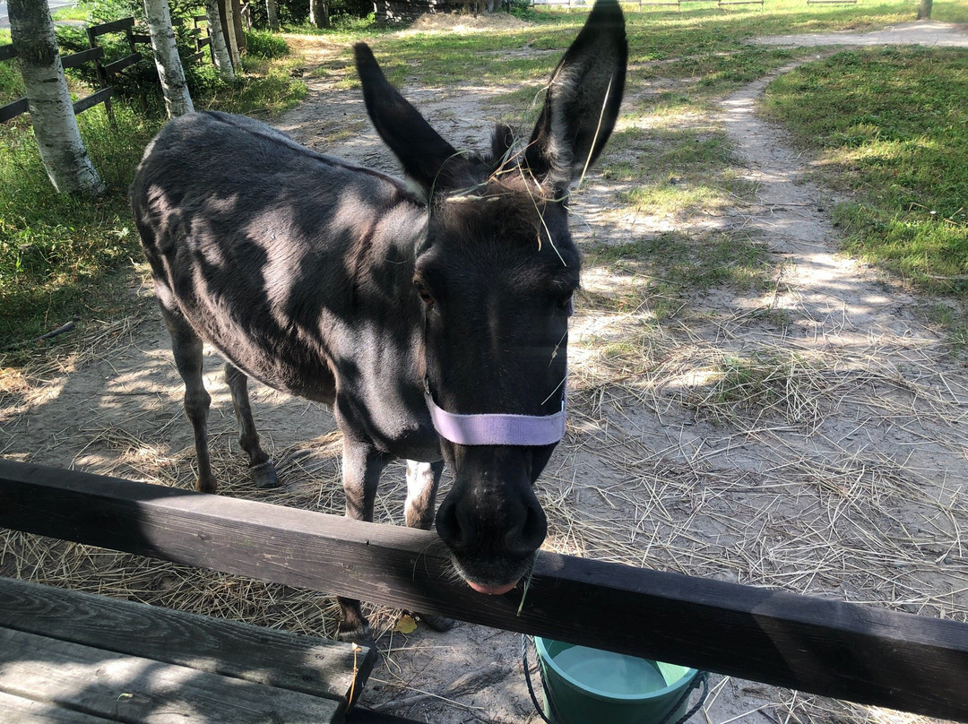 拉克莱特旅馆主图