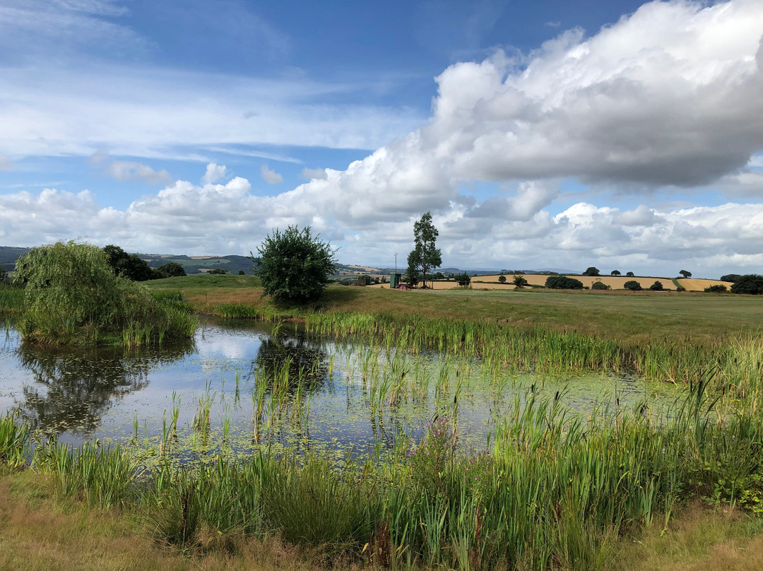 Newton St Cyres Golf Course-Crediton必去景点