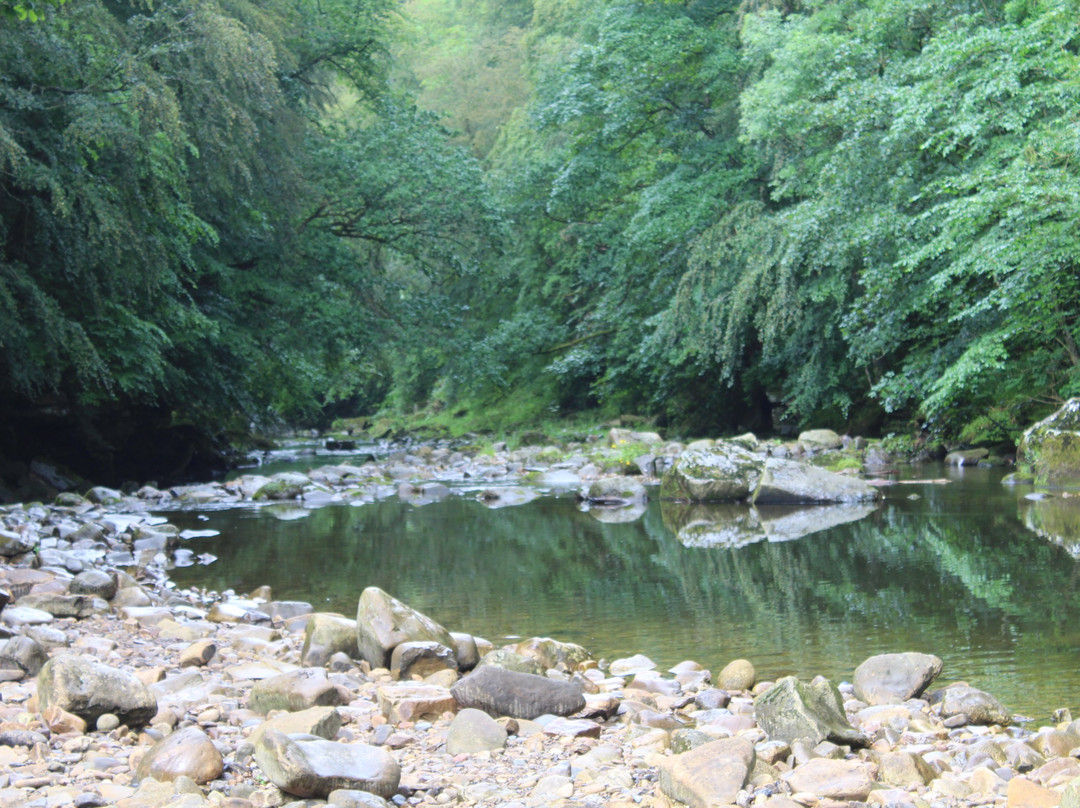 Allen Banks and Staward Gorge景点图片