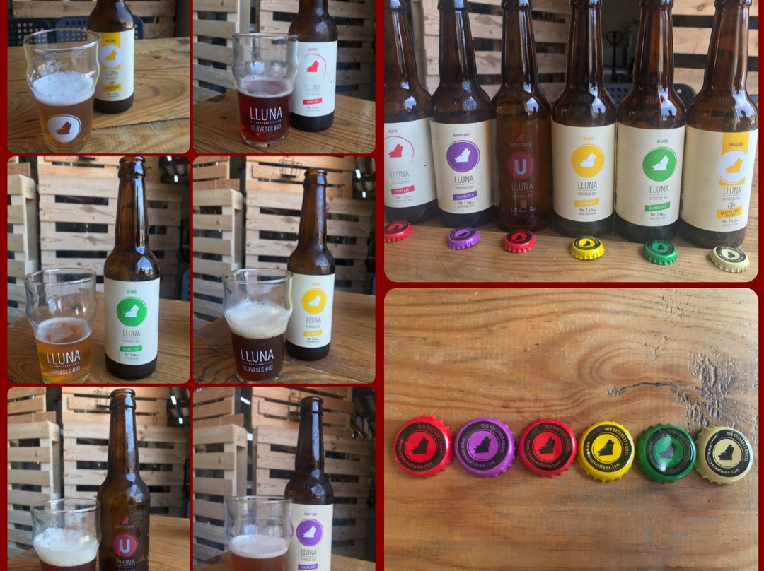 Lluna Cerveses Bio景点图片