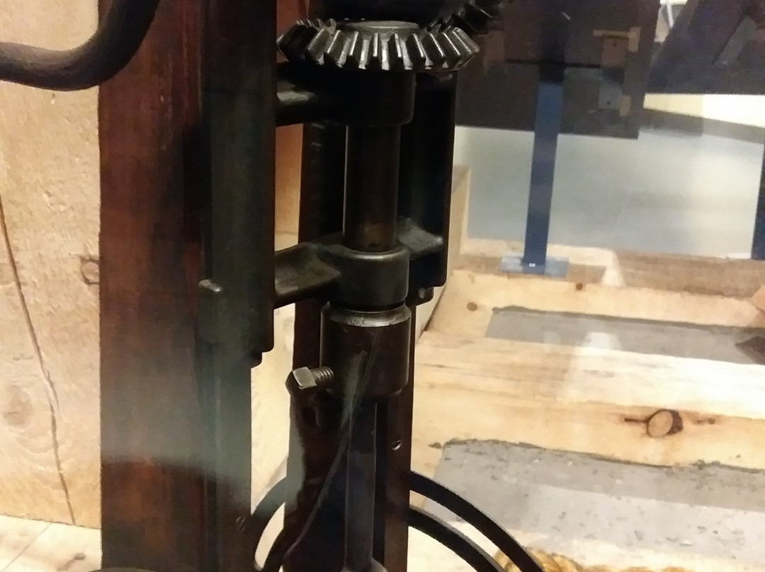 New Brunswick Museum-圣约翰必去景点