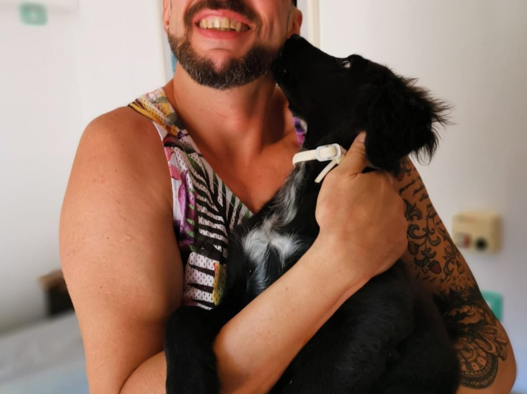 Villa Verde Guesthouse主图