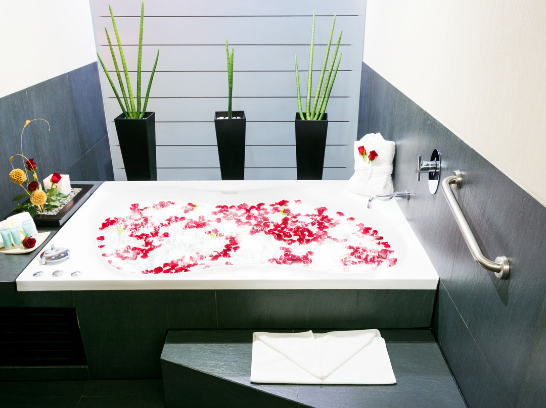 Crowne Plaza Toluca-Lancaster by IHG主图