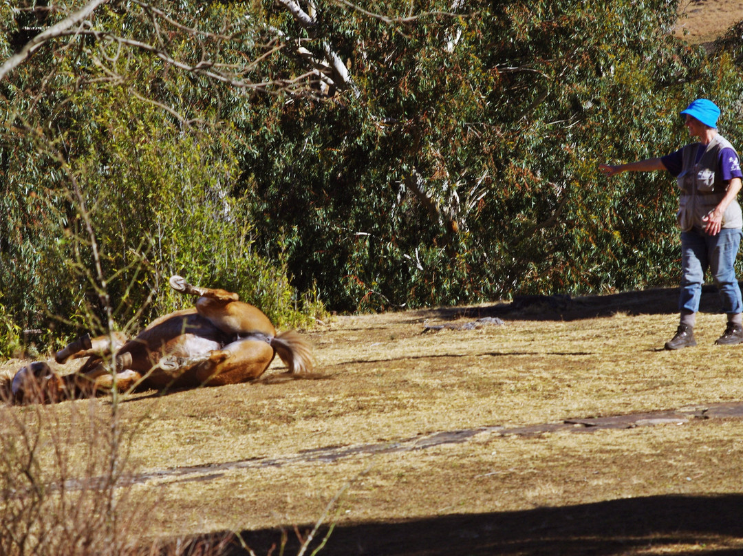 谷德森德拉肯斯花园高尔夫球场及温泉度假酒店主图