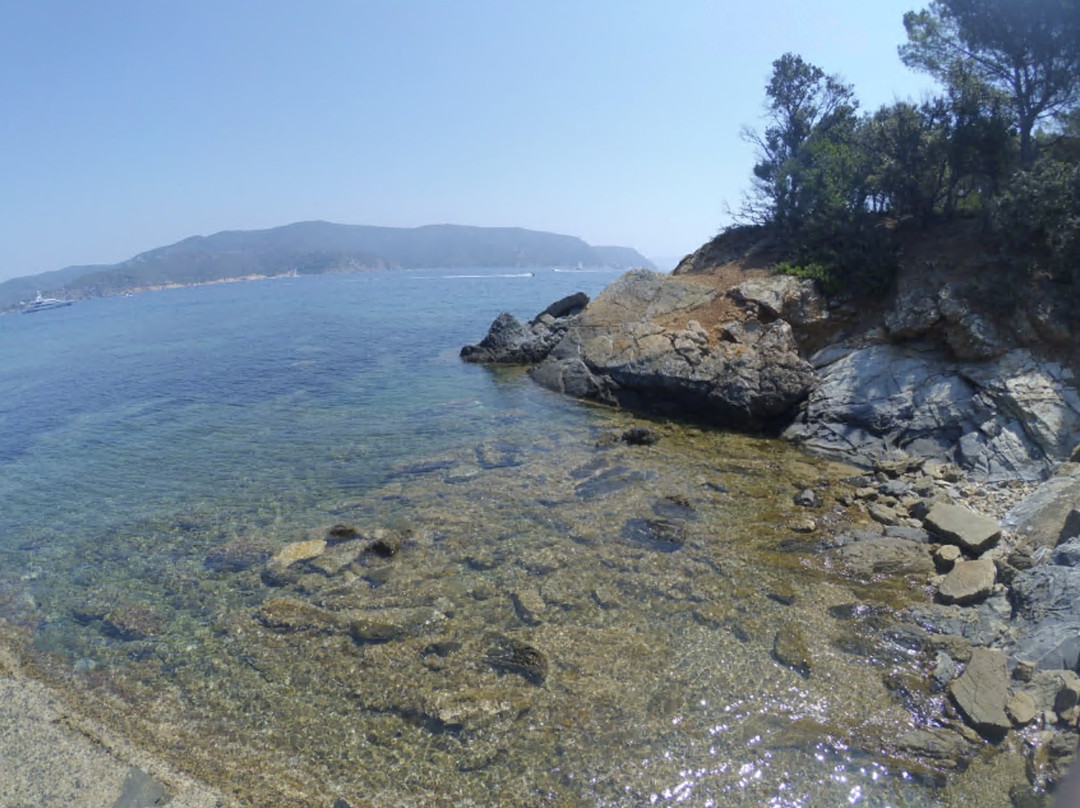 Spiaggia di Galenzana景点图片