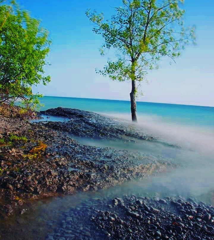 Point Petre Wildlife Conservation Area-皮克顿必去景点