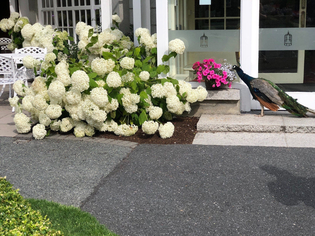 Finnstown Castle Hotel主图