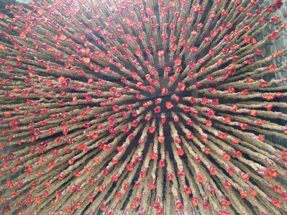 Hotel Ler- Argi主图