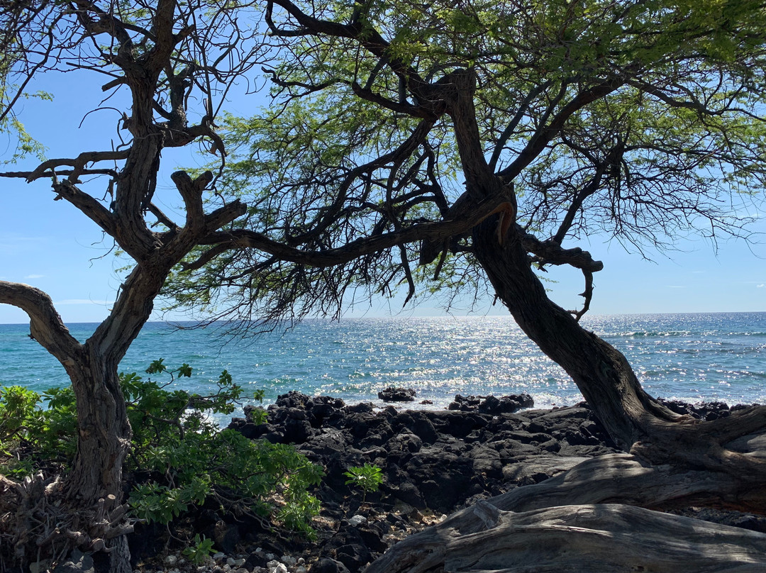 Holoholokai海滩公园-夏威夷大岛必去景点