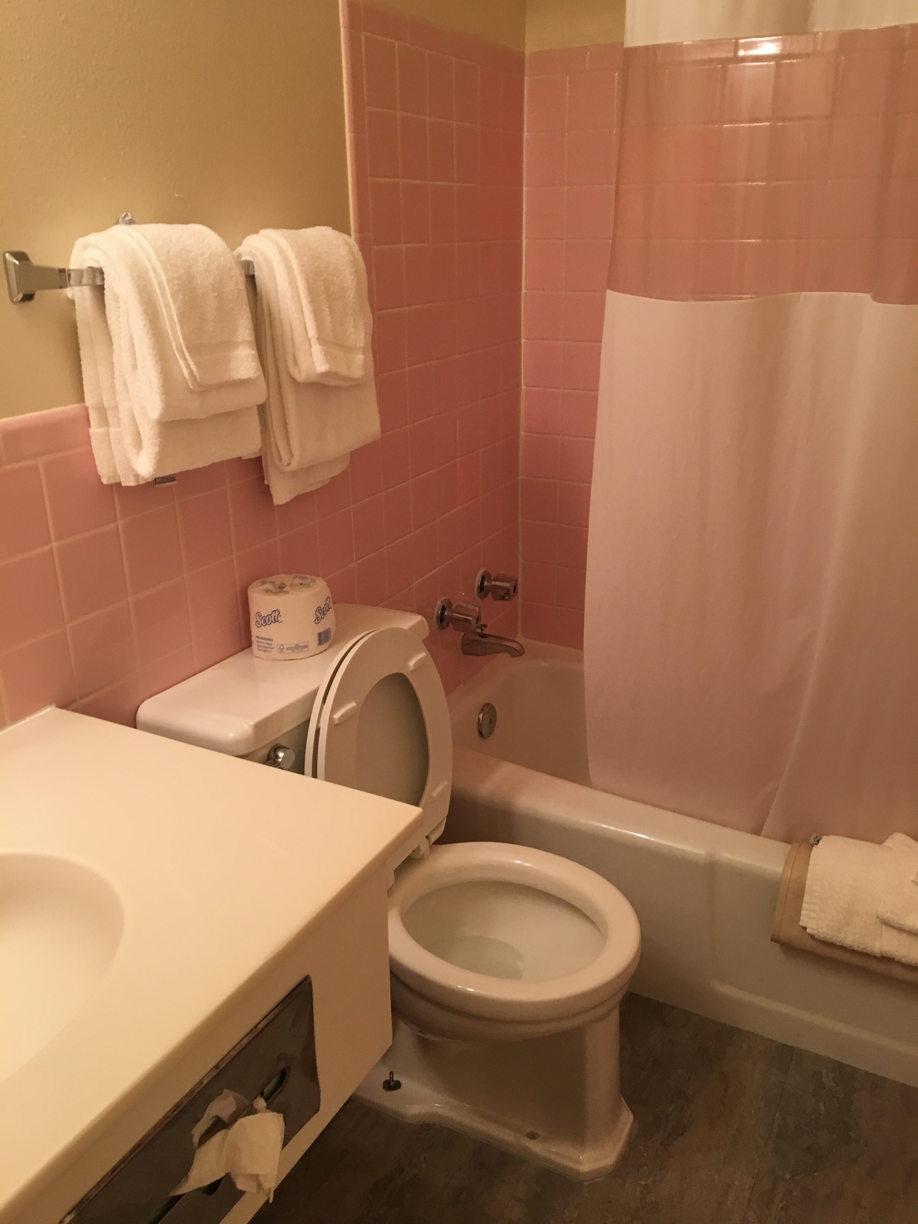 Skyline Motor Inn-浴室