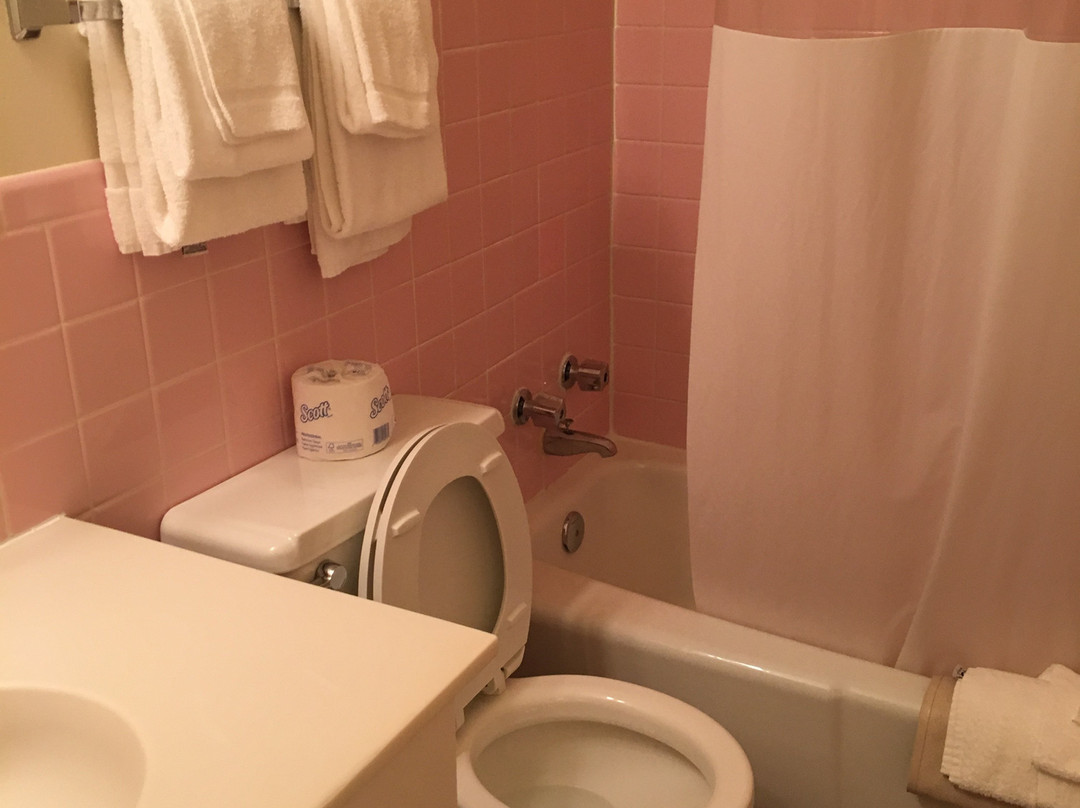 Skyline Motor Inn主图