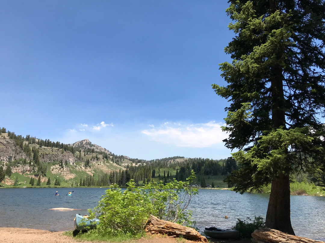 Tony Grove Lake景点图片
