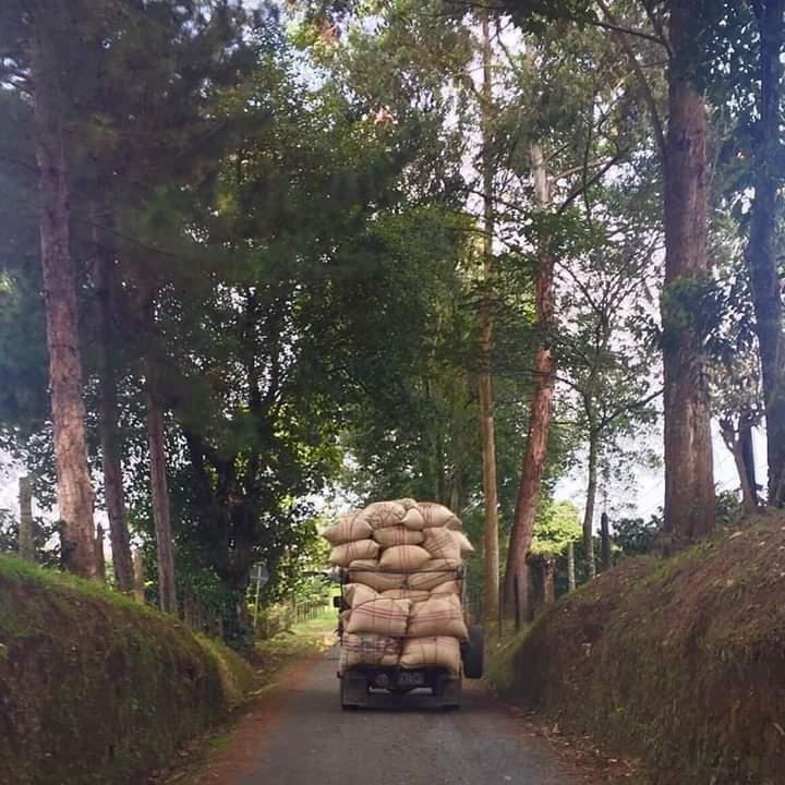 Hacienda La Gaviota-Chinchina必去景点