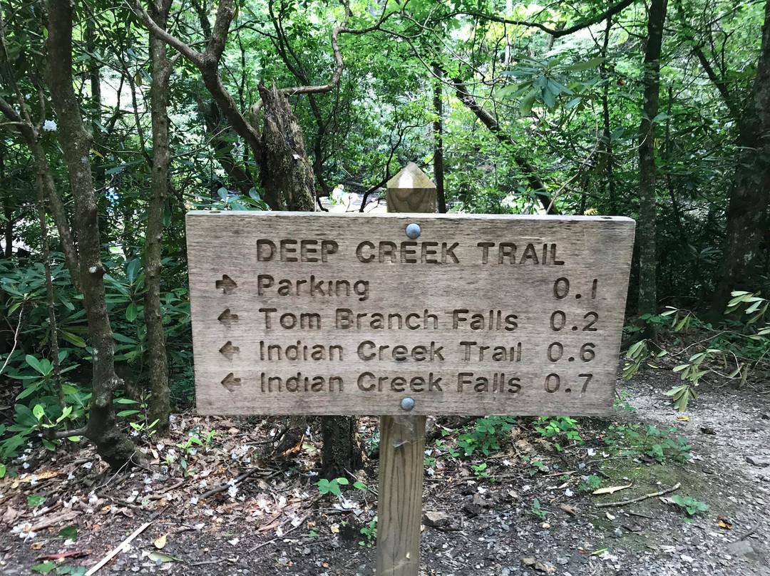 Deep Creek Trail景点图片