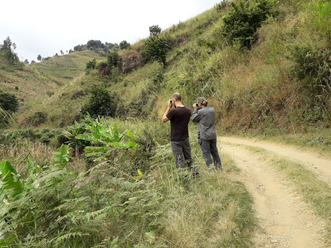 Liz B birding Safari-Iringa必去景点