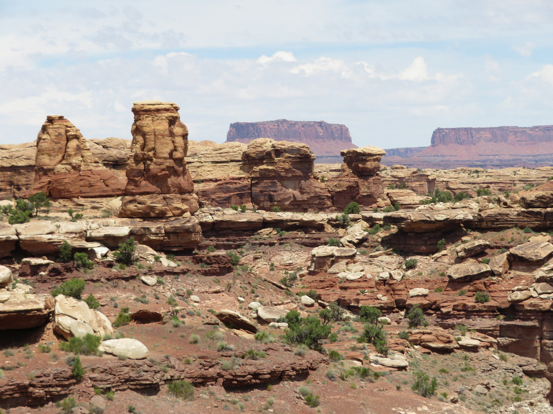 Big Spring Canyon Overlook景点图片