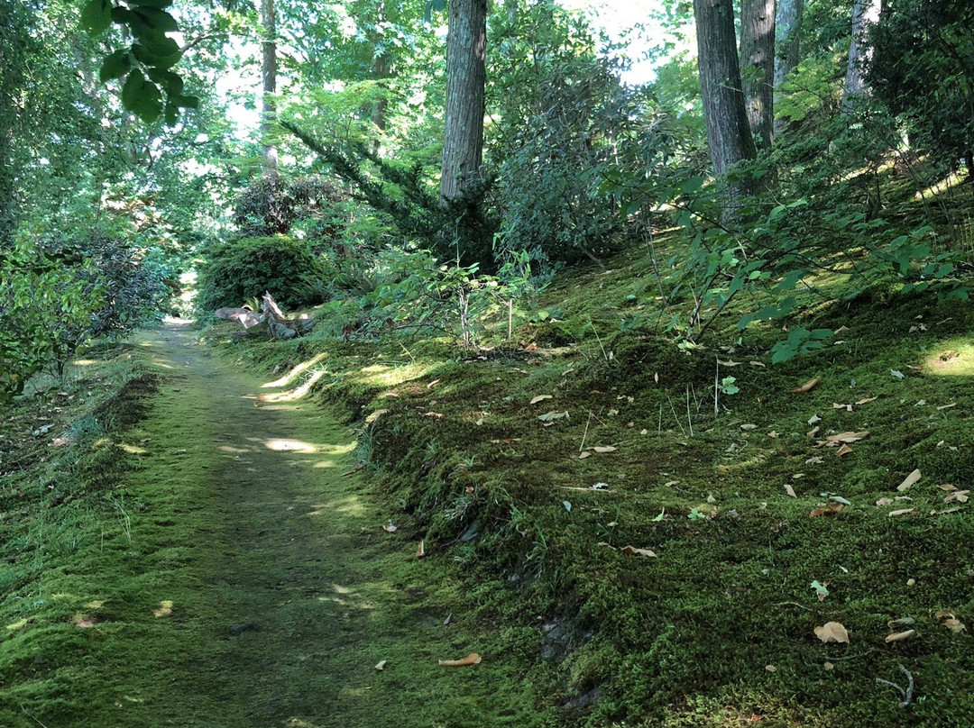 Greencombe Gardens景点图片