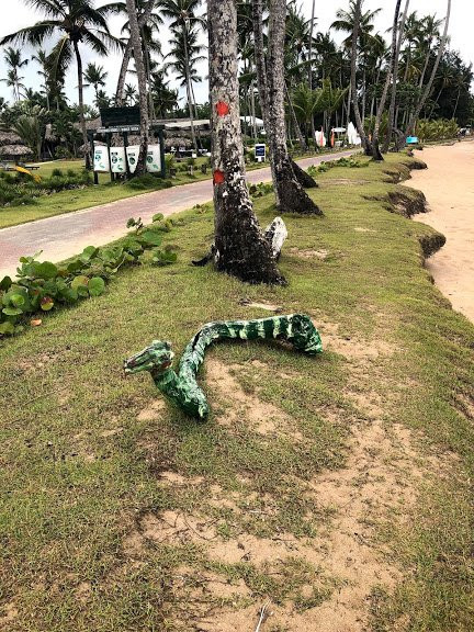 Hotel Costa Las Ballenas主图