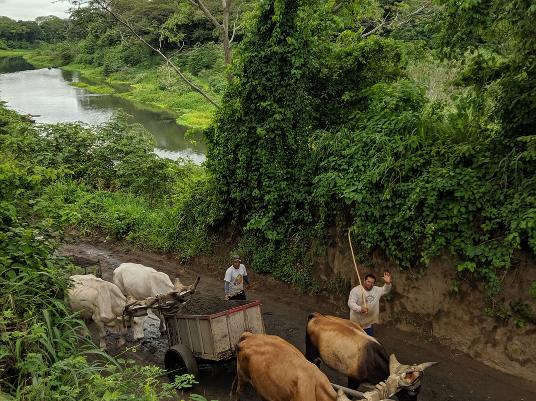 VIP Costa Rica Transportation and Tours-利比里亚必去景点