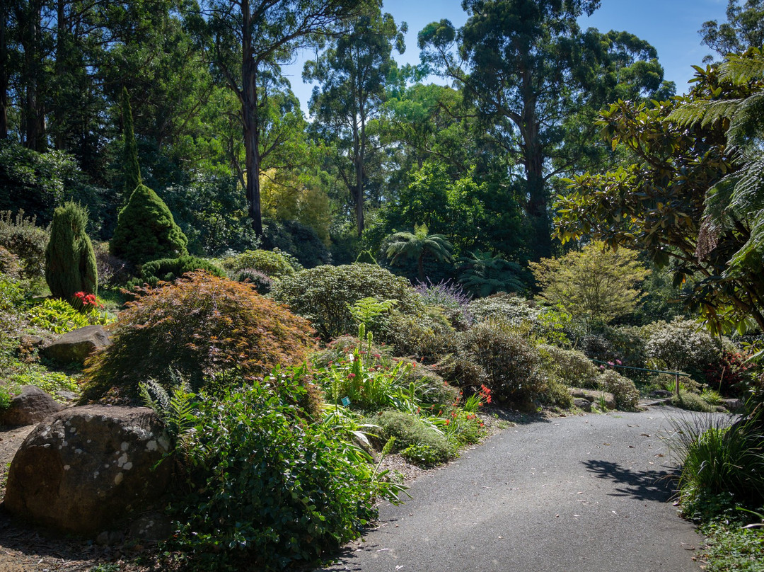 Dandenong Ranges Botanic Garden景点图片