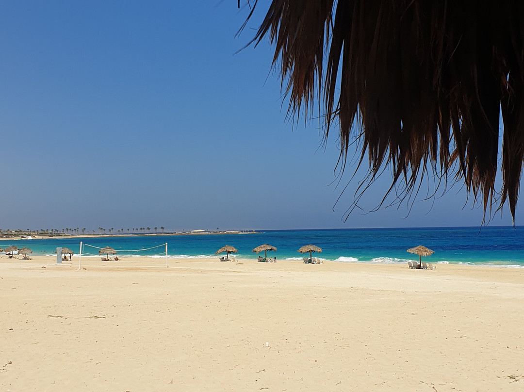 Caesar Island North Coast