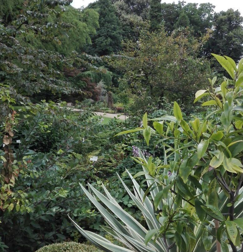 Botanical Garden Kruidtuin景点图片