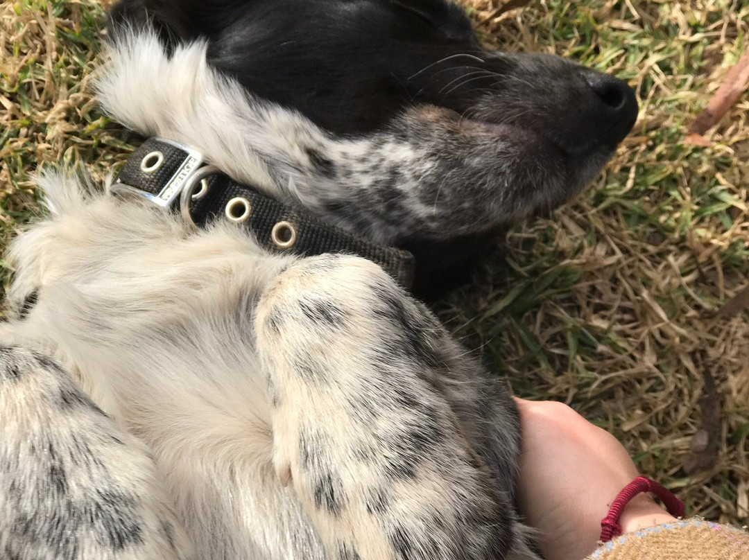 The Rosby Wines Cellar Door-马奇必去景点