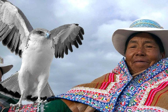 Turismoi-利马必去景点