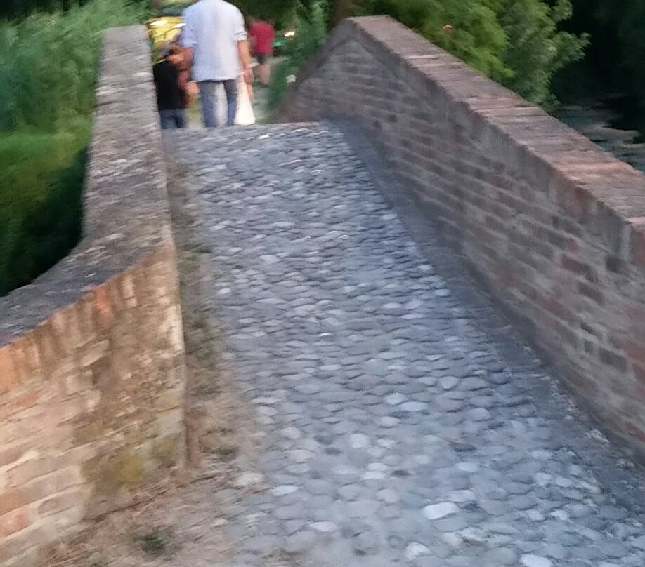 Ponte della Bionda景点图片