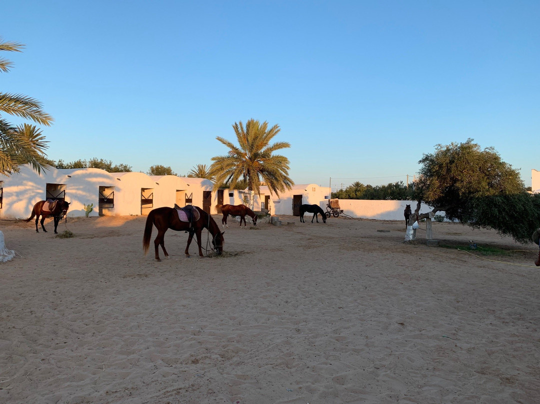 Ranch Yassmina Djerba La Douce景点图片