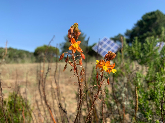 Quinta Pero Vicente主图