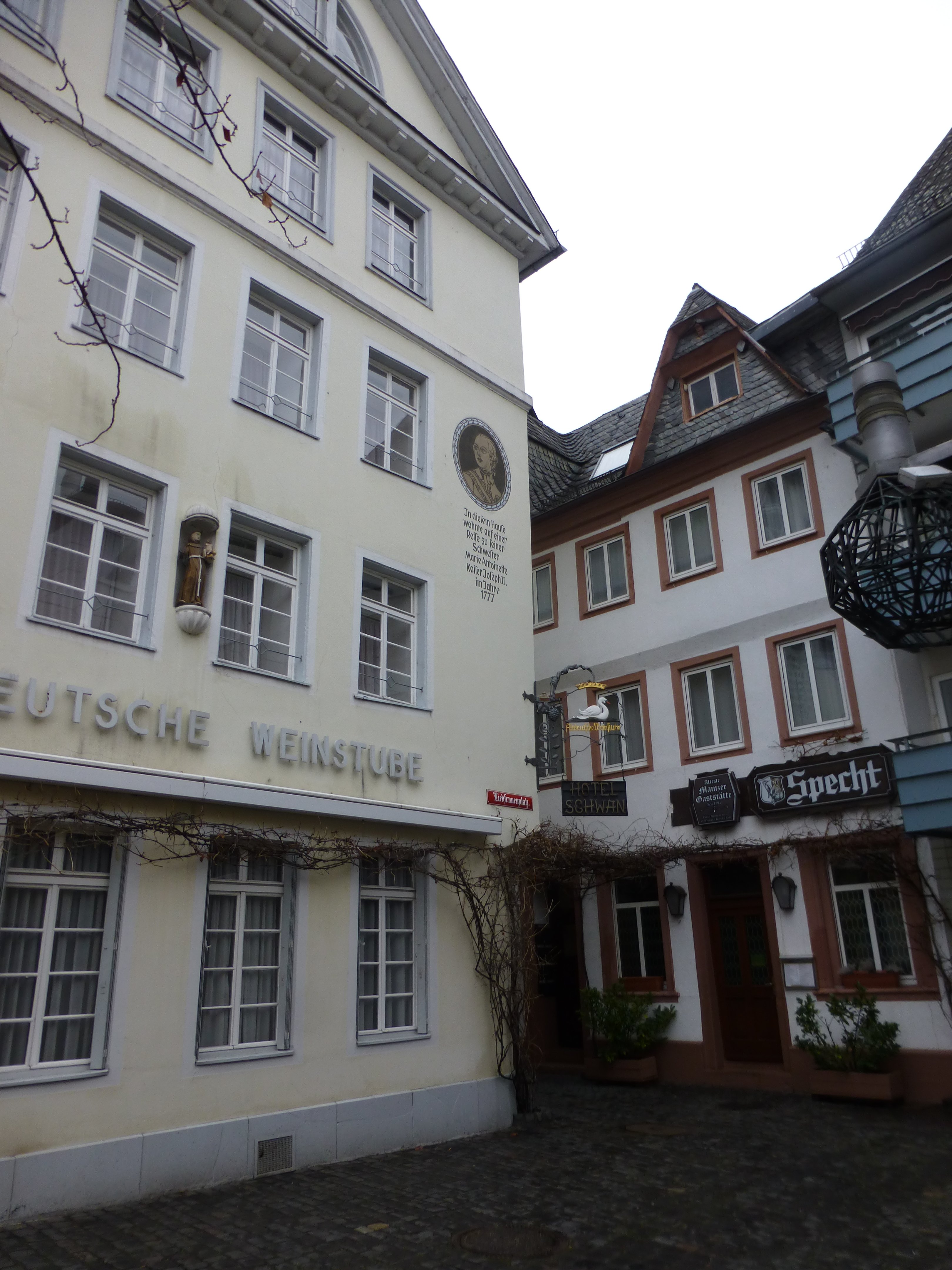 Hotel Schwan Mainz-portrait