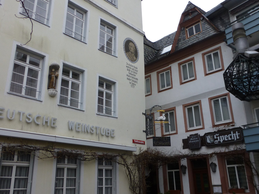 Hotel Schwan Mainz主图