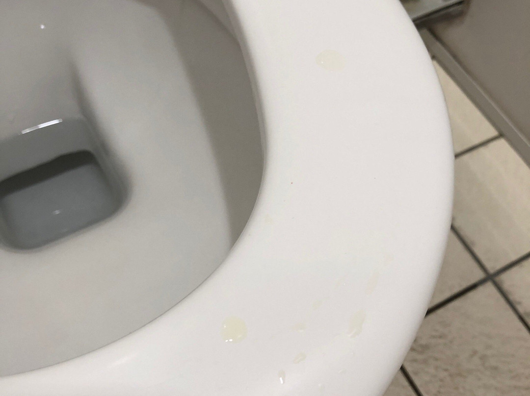 Aqua Nova-维也纳新城必去景点