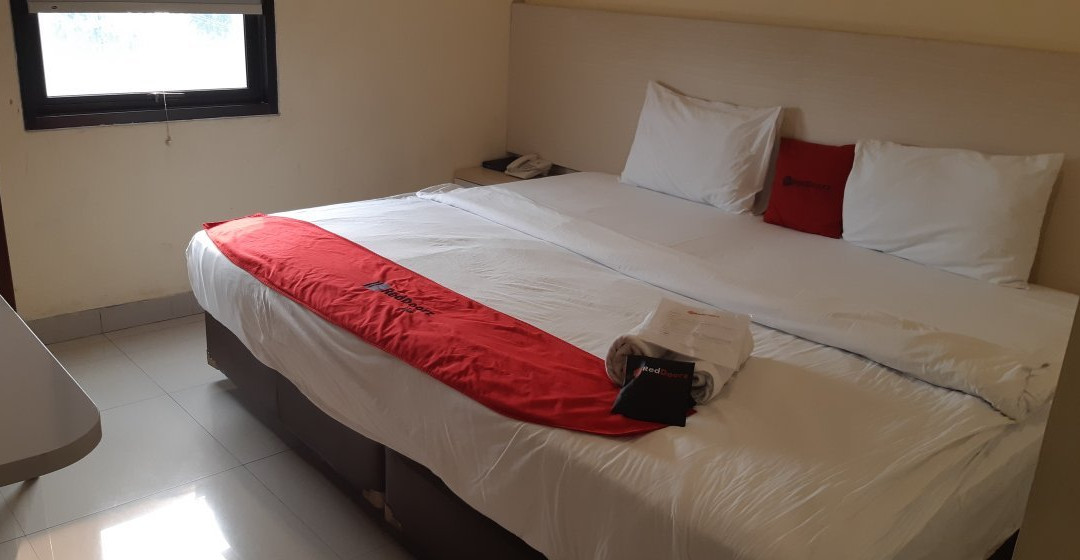 Collection O Hotel Igloo主图