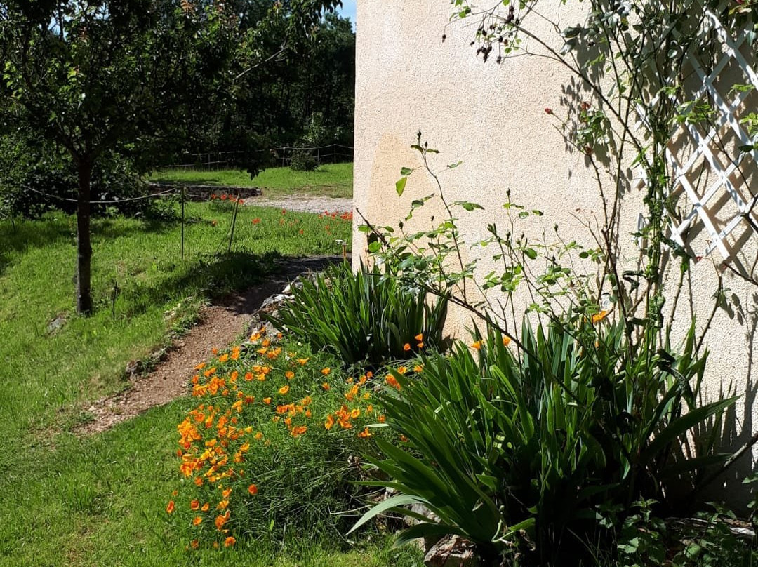 Domaine des Garennes主图