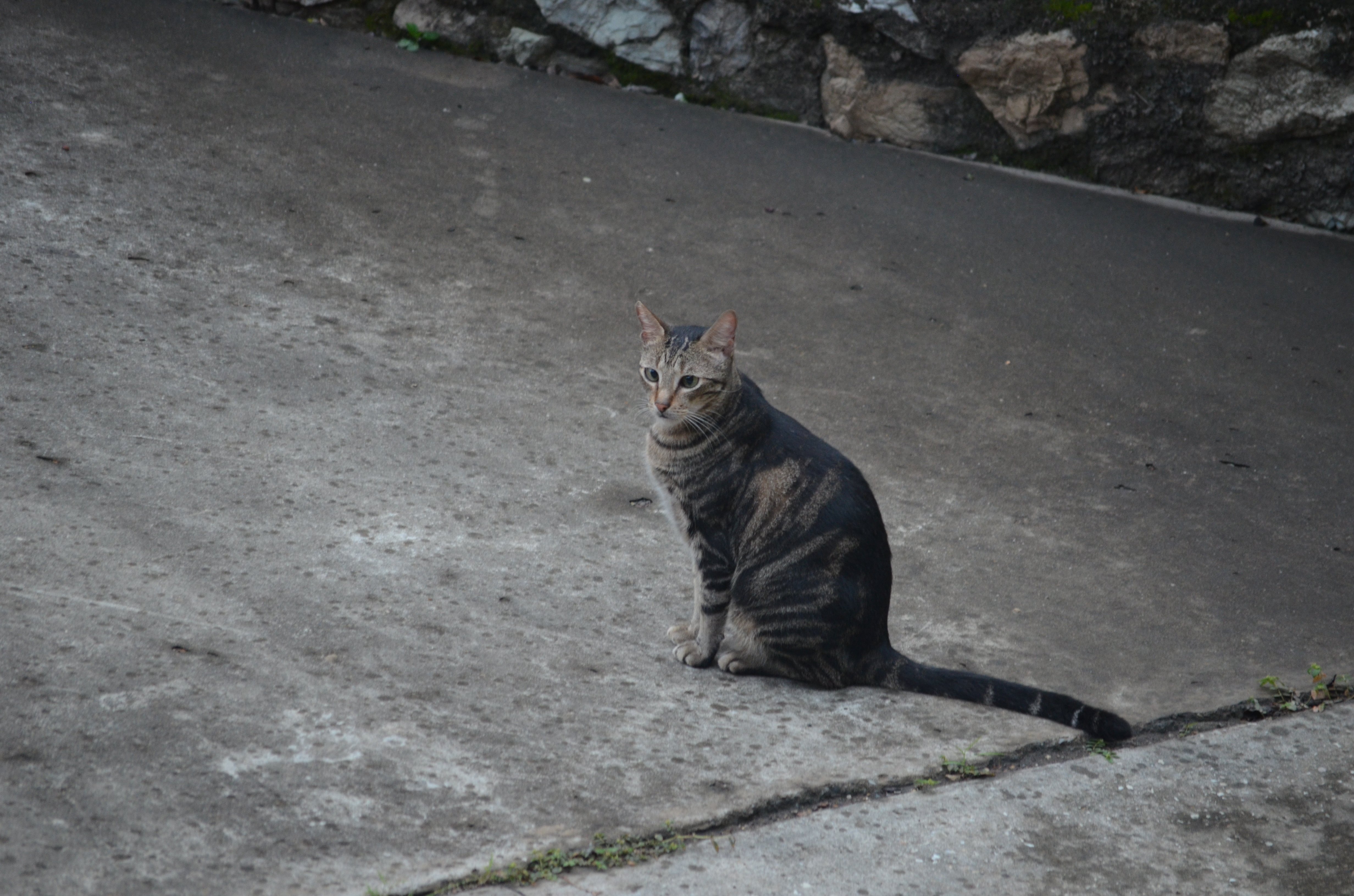 穆尔斯比港假日酒店-浴室