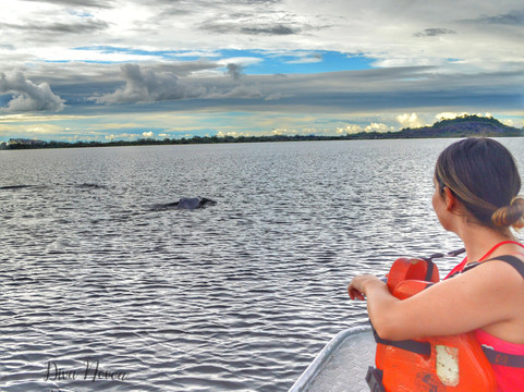 Puerto Carreno旅游攻略图片