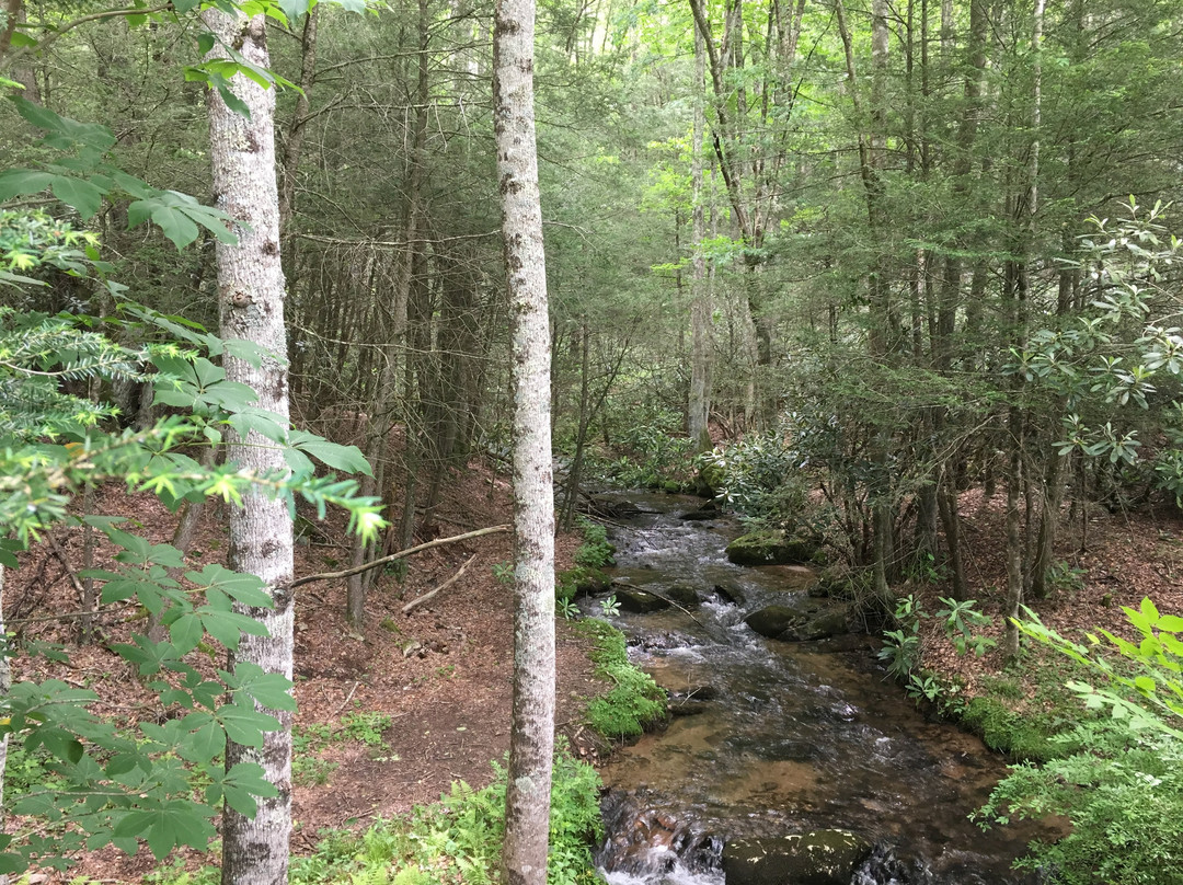 Shuttle Shack-Damascus必去景点