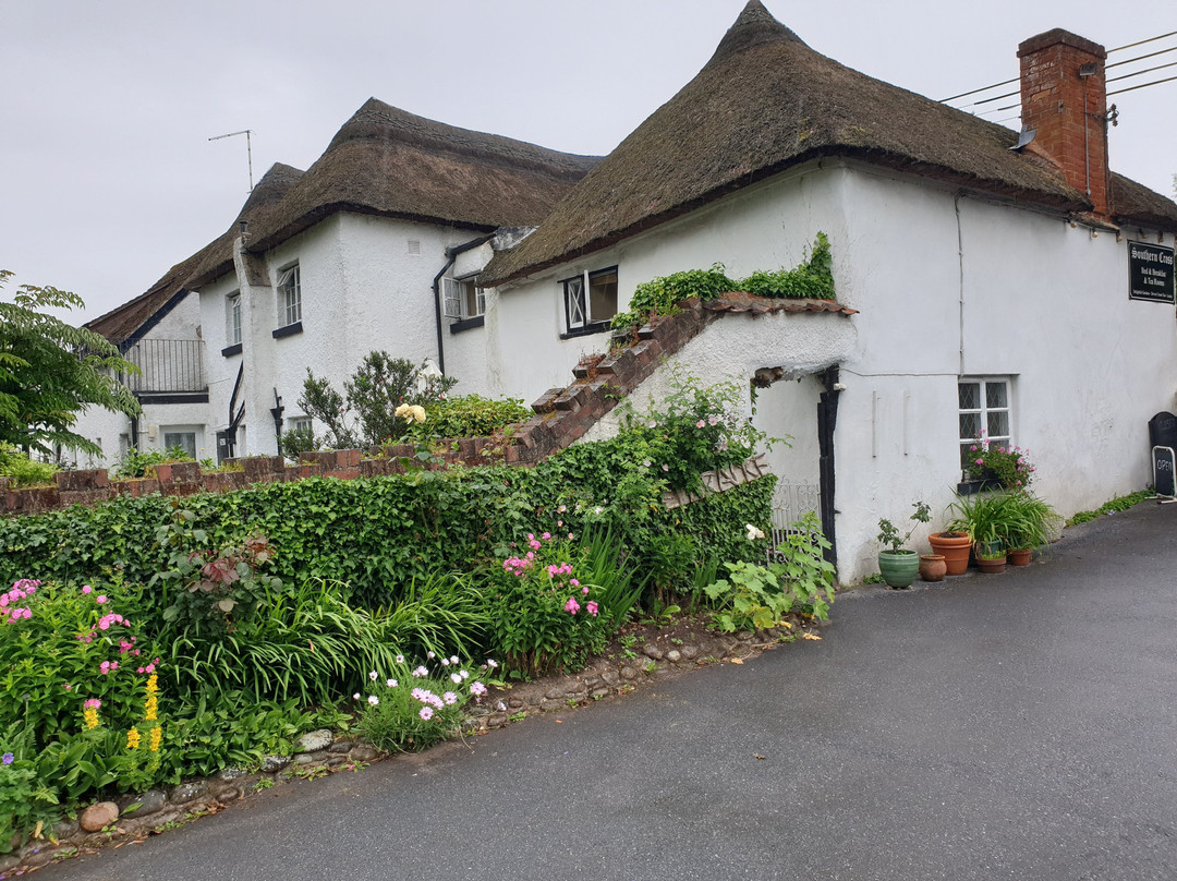 Southern Cross Guest House主图