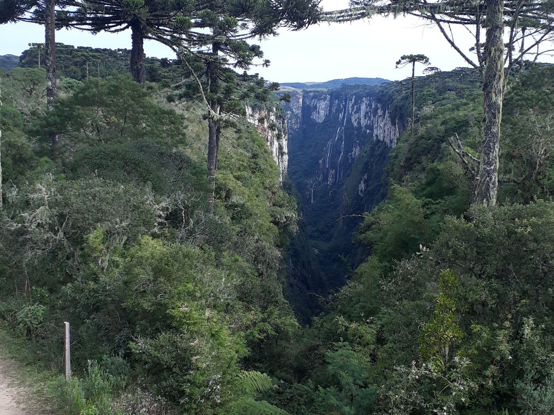 Pousada Bela Vista主图