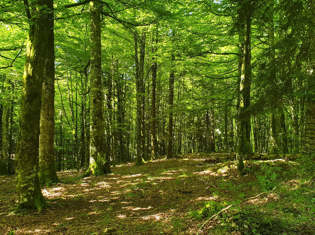 贝萨洛乡村酒店主图
