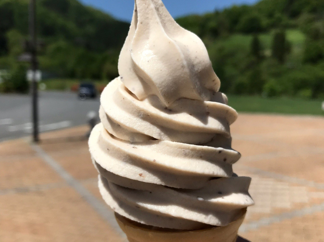 Michi-no-Eki Yamabikodan-宫古市必去景点