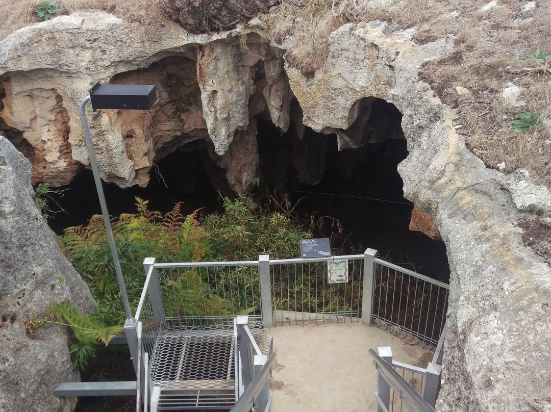 Naracoorte旅游景点-Stick Tomato Cave