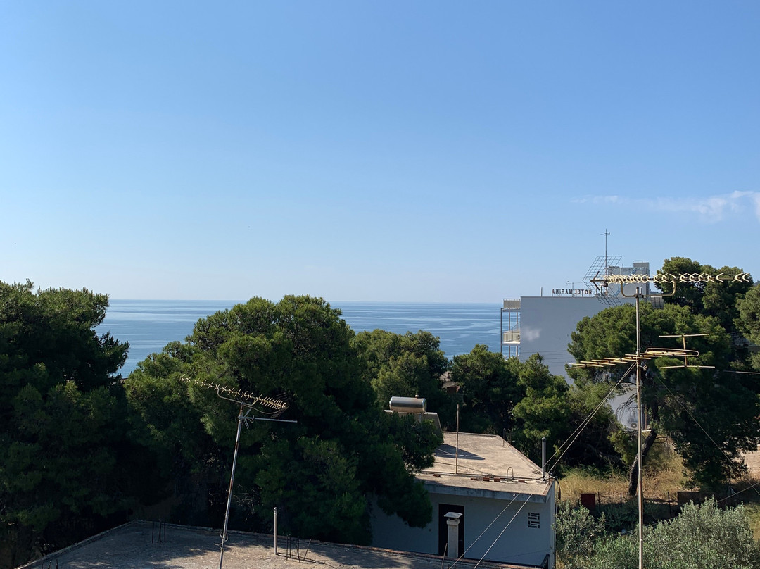 The Delfini Hotel主图