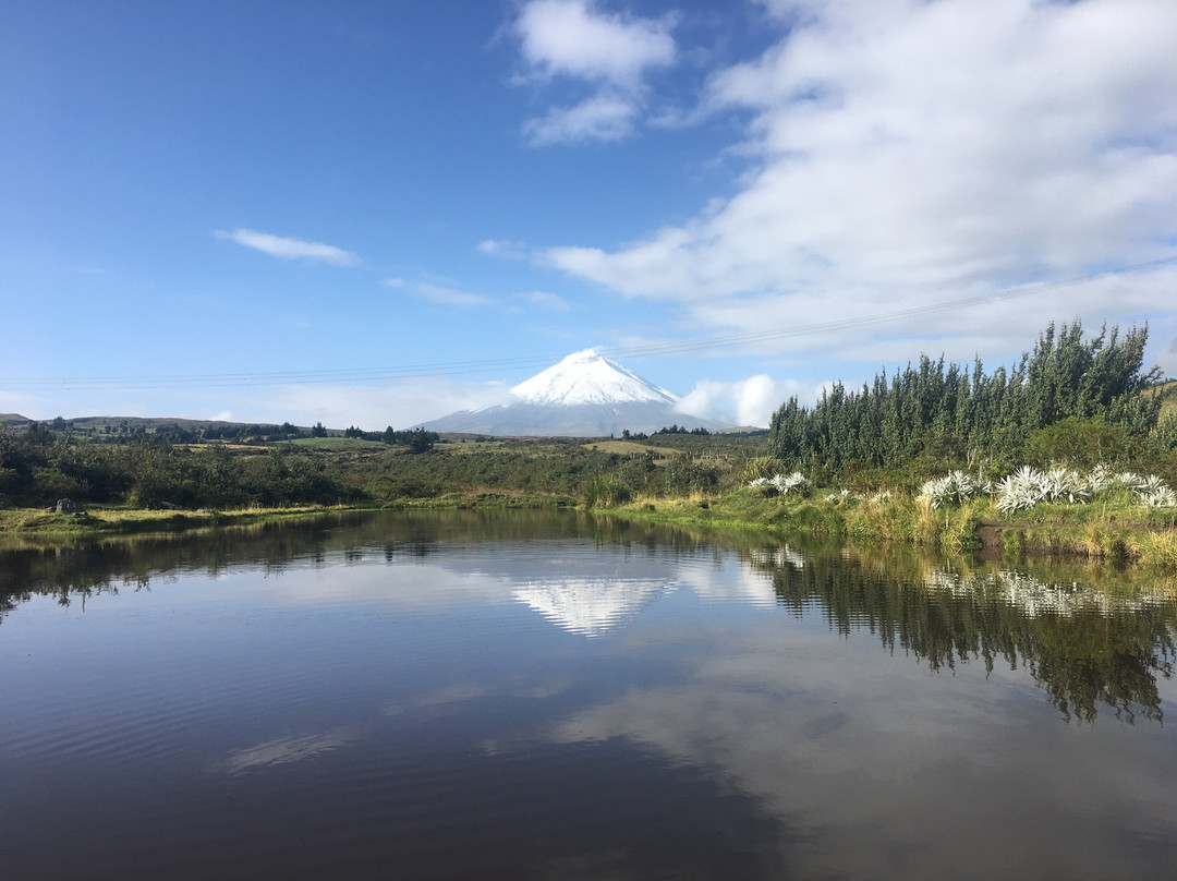 Mauca Pedregal主图