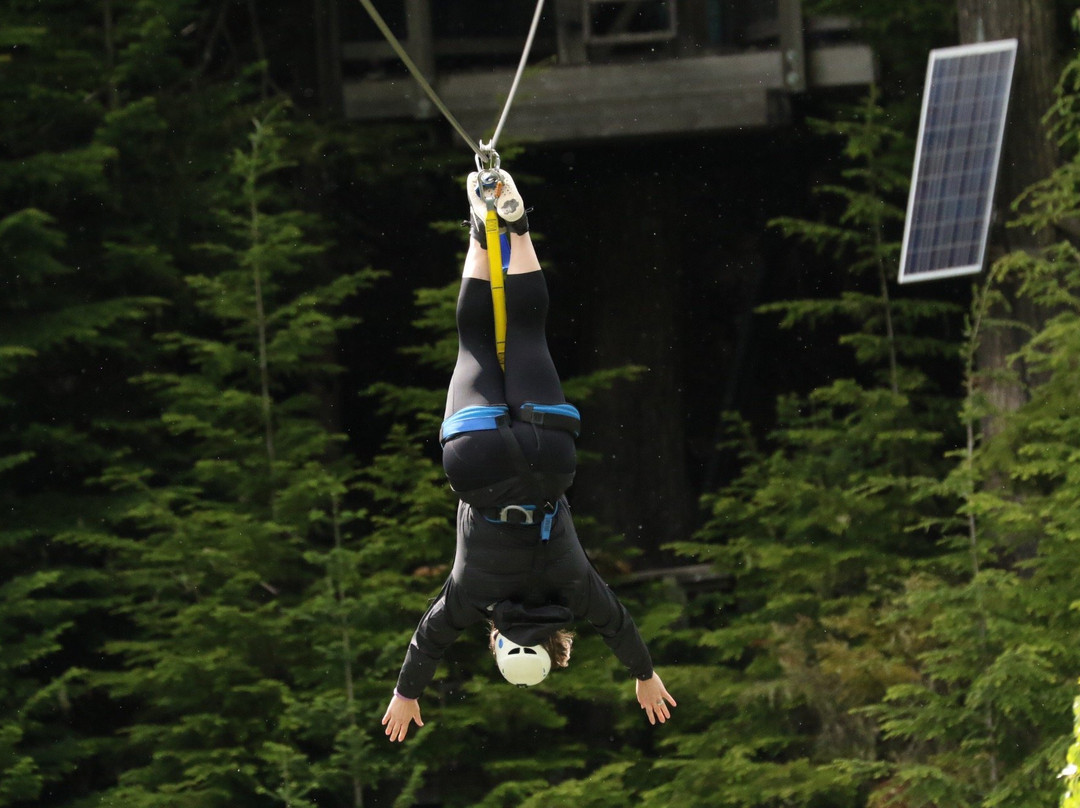 Ziptrek Ecotours景点图片