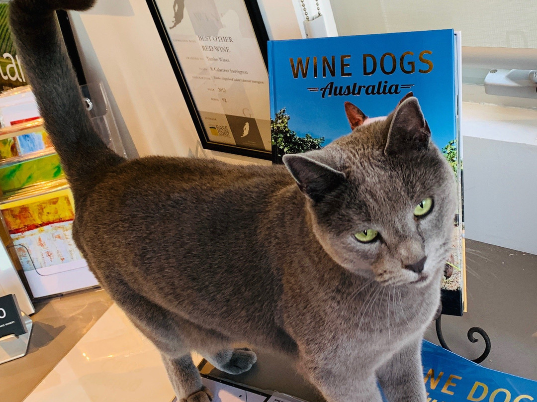 Nicholson旅游景点-Tambo Winery