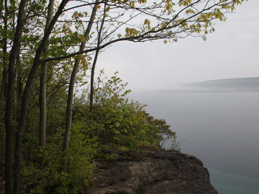 Hope Bay Forest Provincial Nature Reserve景点图片